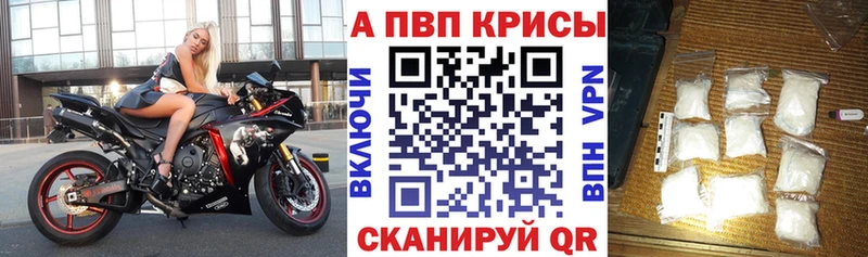 даркнет сайт  Дно  Alpha PVP СК 