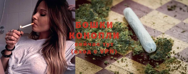 шишки Протвино