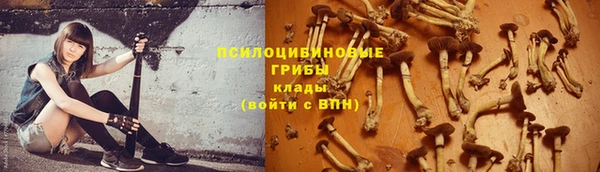 винт Богданович
