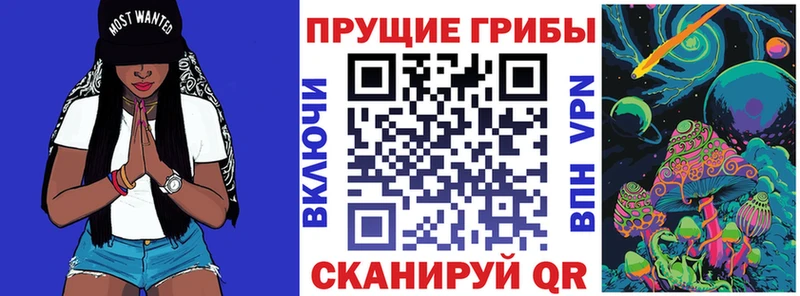 Галлюциногенные грибы Cubensis  Дно 